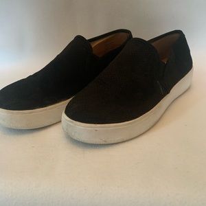 Steven Madden Gracy Black suede sneakers